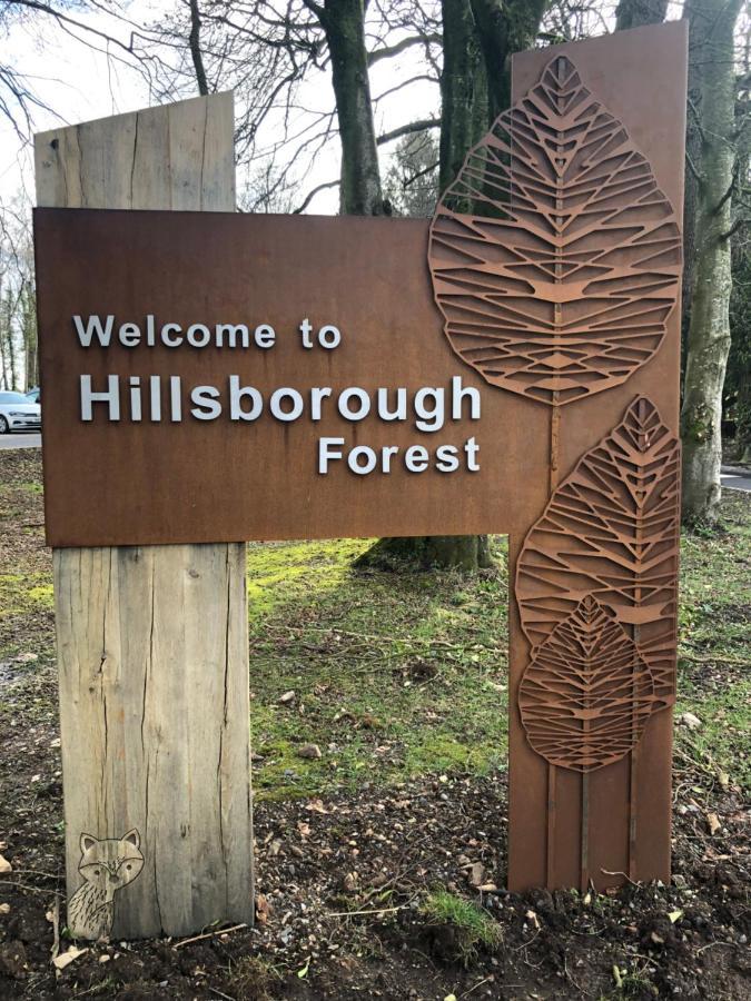 Rural Long Term Accommodation Hillsborough Bagian luar foto